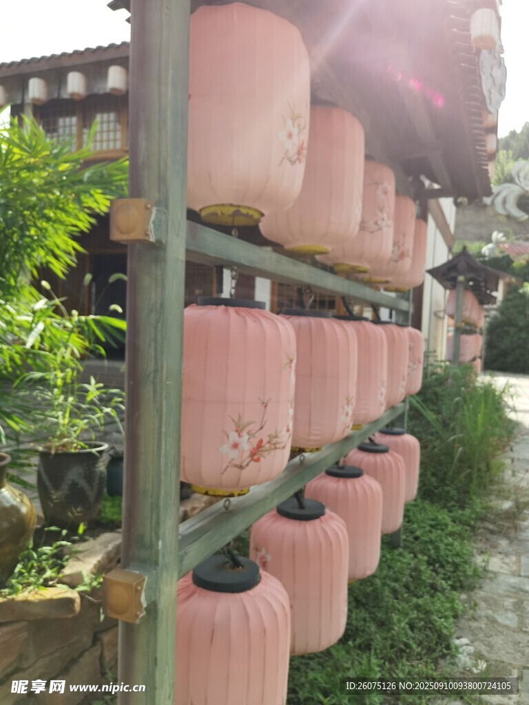 戶外懸掛的粉色燈籠景觀