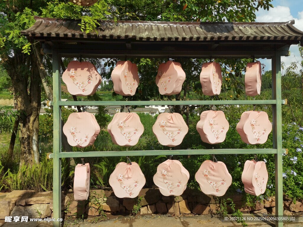 戶外晾曬的圓形粉色物品