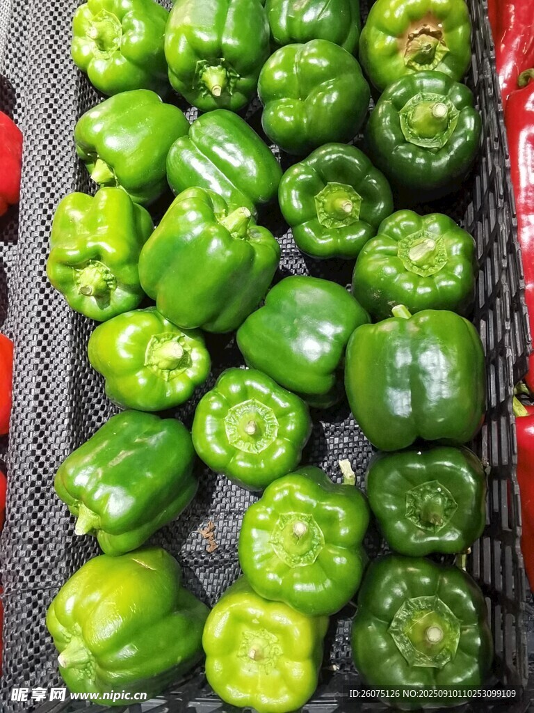 新鮮青椒整齊排列