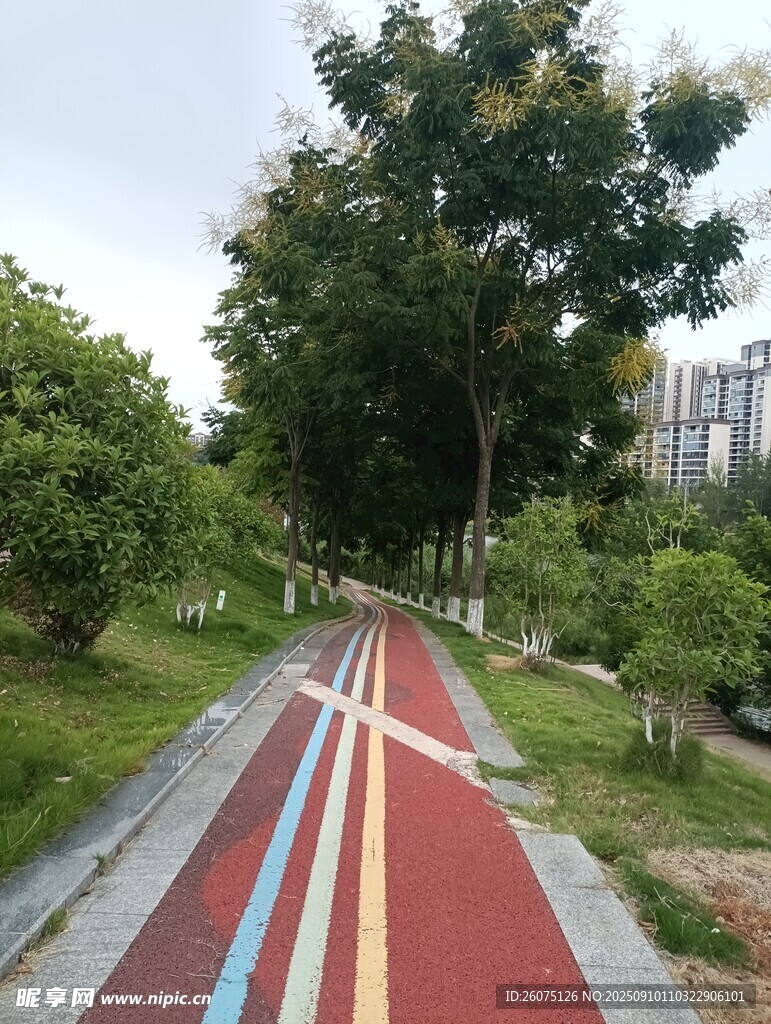 彩色健身步道綠樹(shù)相伴