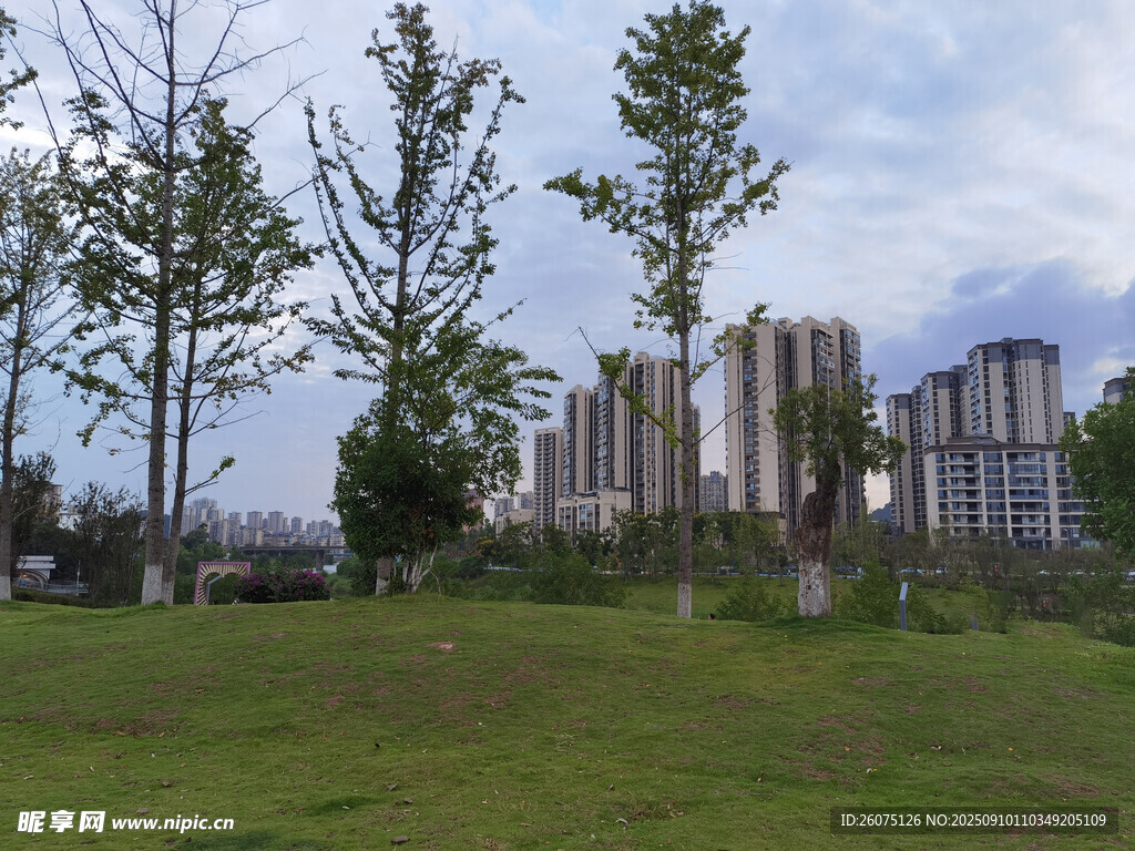 城市綠地旁的現(xiàn)代建筑群