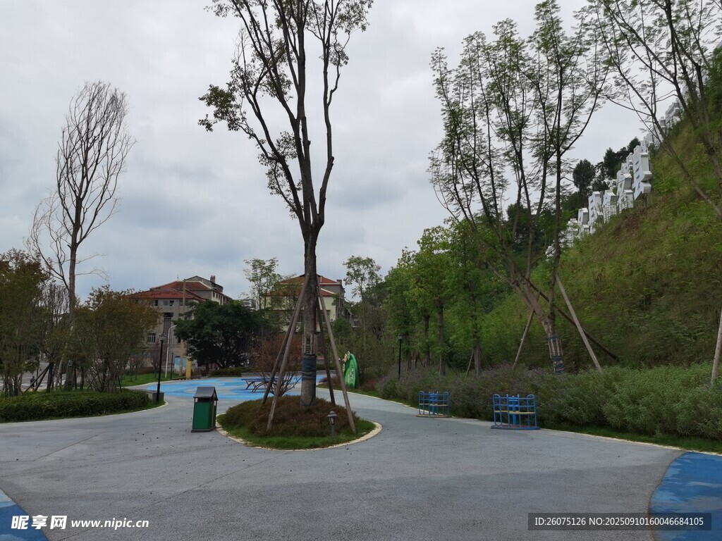 公園中的開闊休閑空間