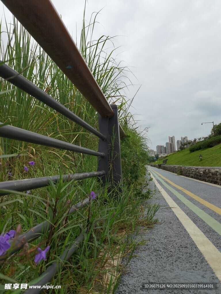 路邊護(hù)欄旁的自然景致