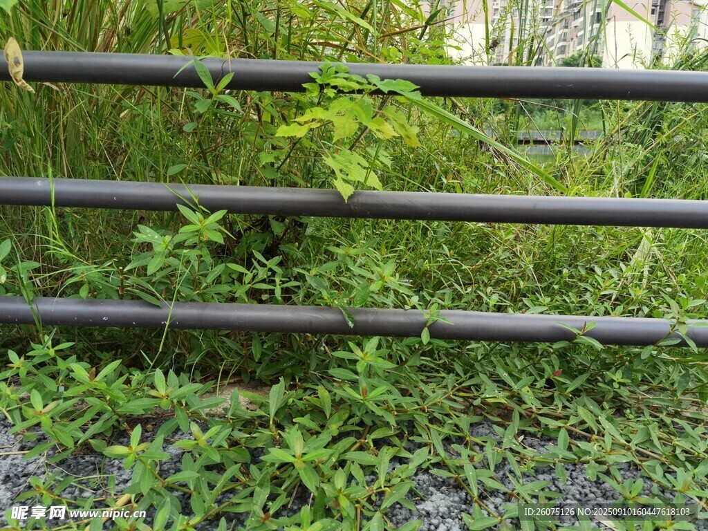 戶外金屬圍欄與繁茂綠植