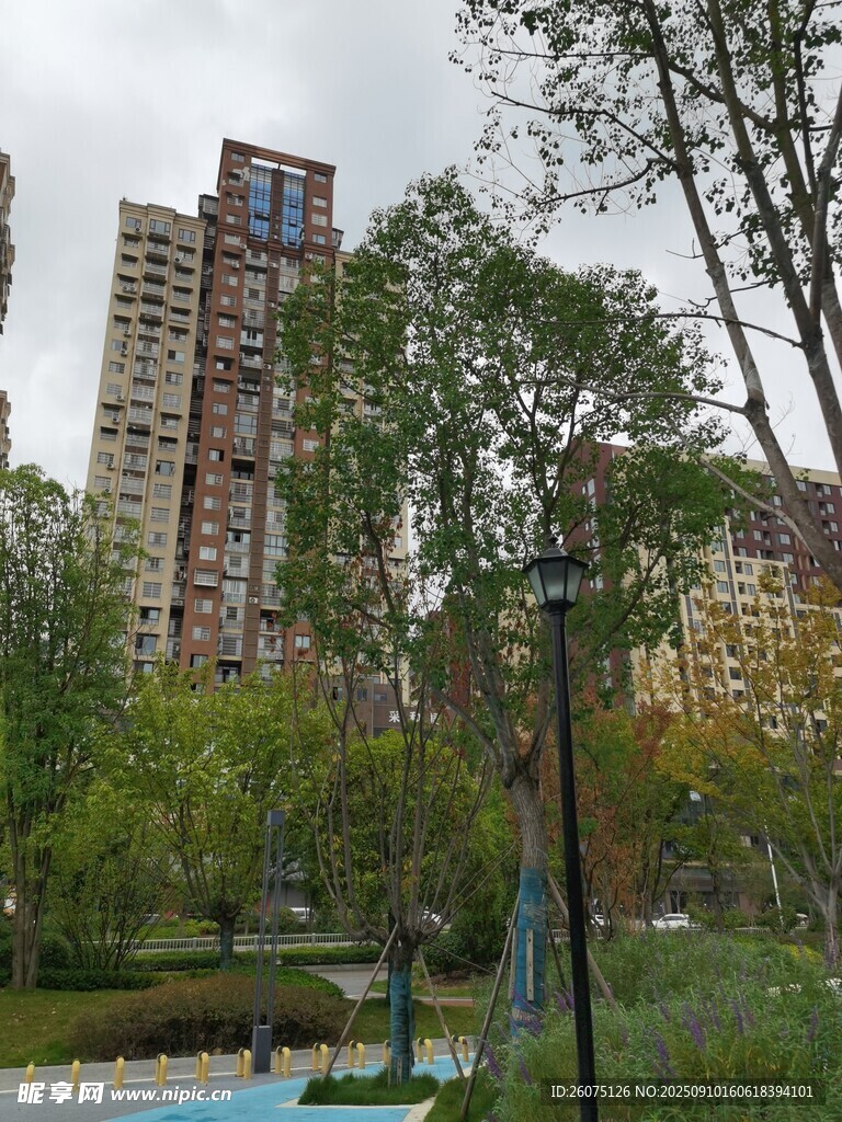 城市公園旁的高樓景觀