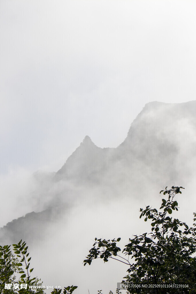 云霧繚繞中的山巒景致