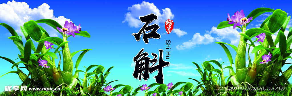 石斛海報(bào)廣告設(shè)計(jì)標(biāo)簽