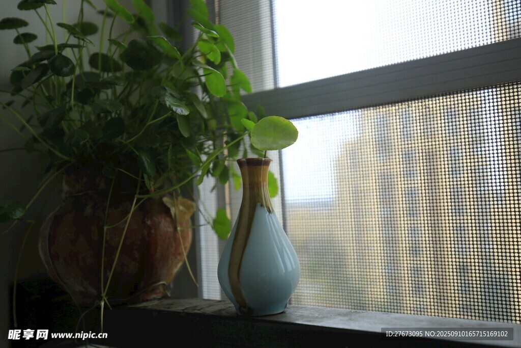 窗邊綠植與素雅花瓶