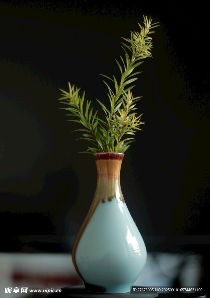 藍白花瓶中的清新綠植