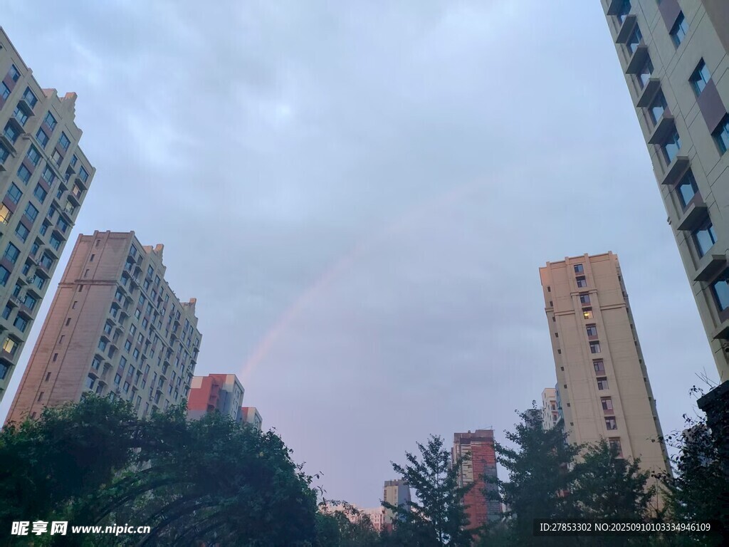 城市高樓與綠植景觀