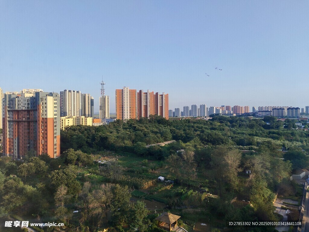 城市與綠樹相映的景觀