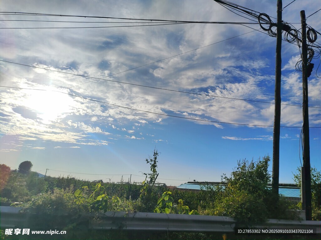 公路邊的藍(lán)天綠樹(shù)美景