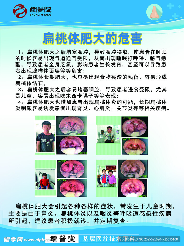 熊蜂體型大的顯著特征