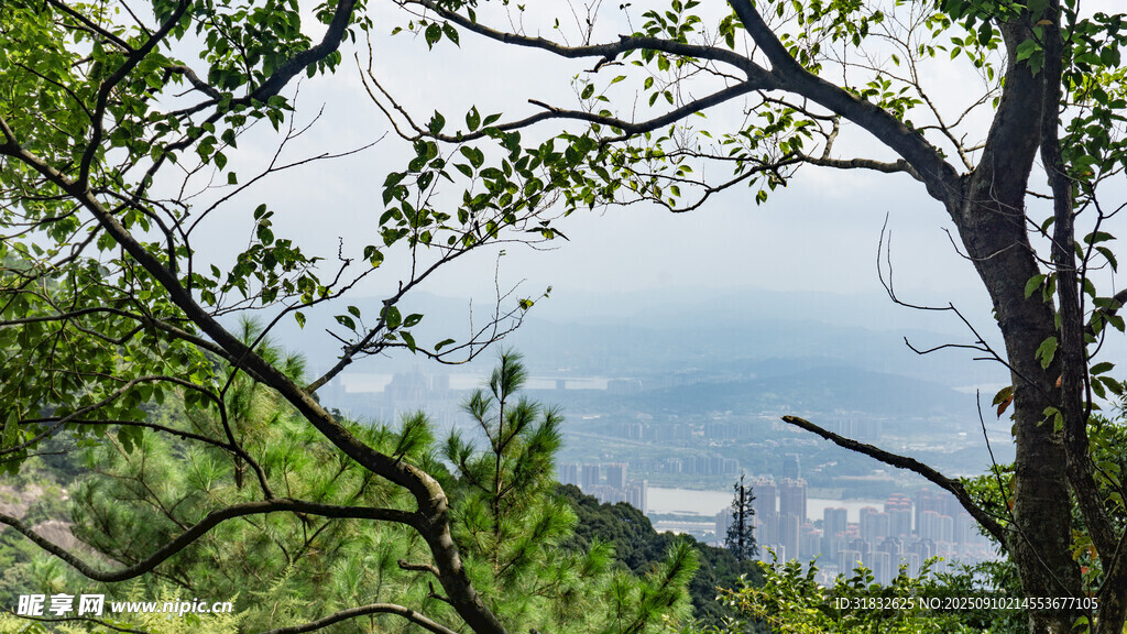 山林間遠眺城市景色