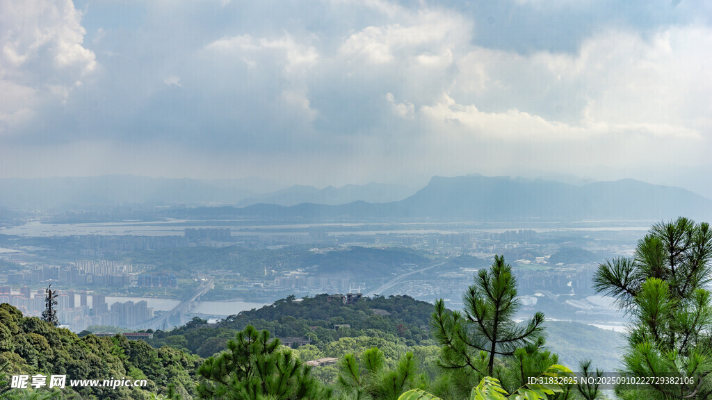 山巔遠眺 云海山巒入目