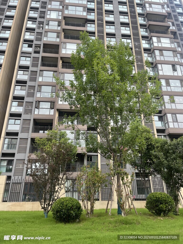 高層住宅旁的綠意景致
