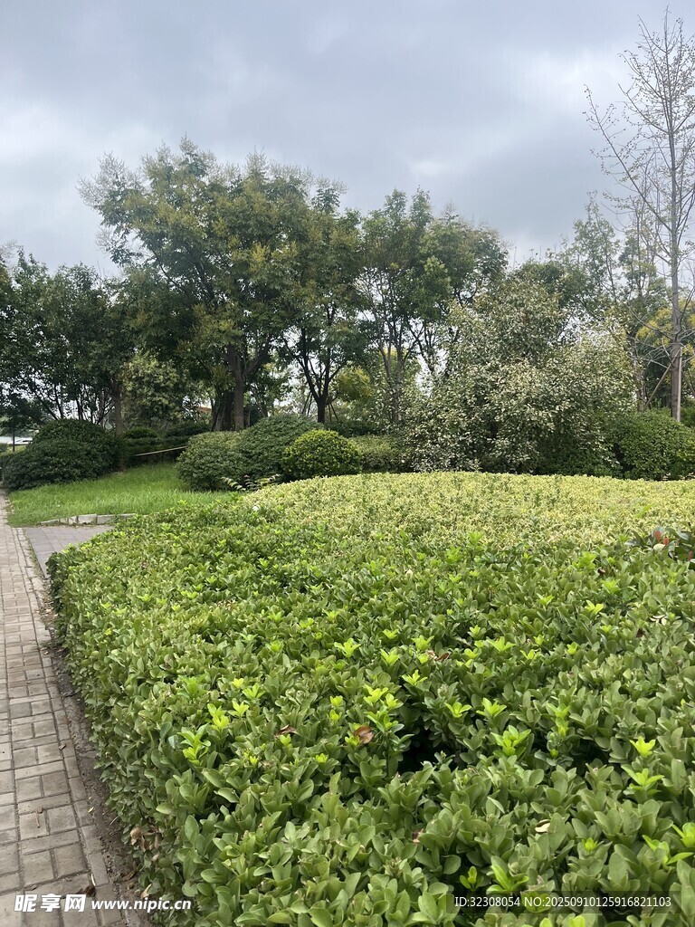 綠意盎然的園林小徑
