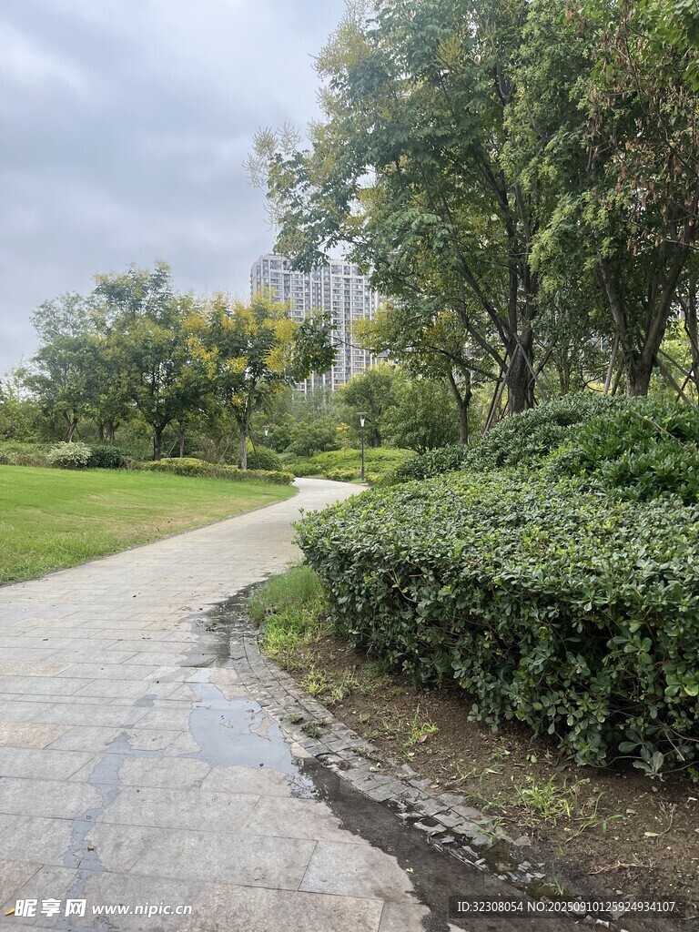 雨后靜謐的公園小徑