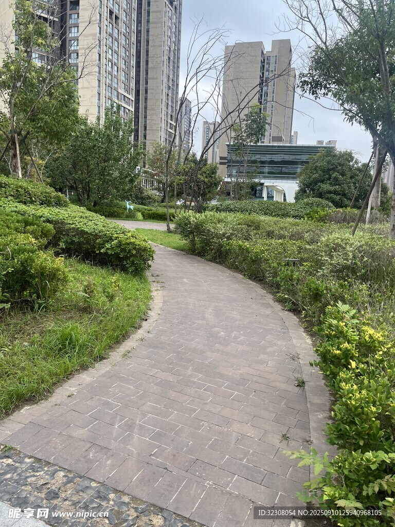 城市中的靜謐綠植小徑