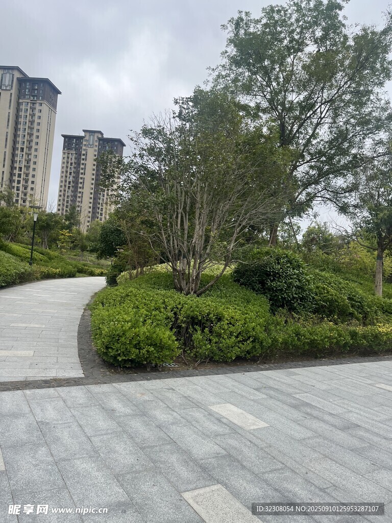 城市中的靜謐園林景觀