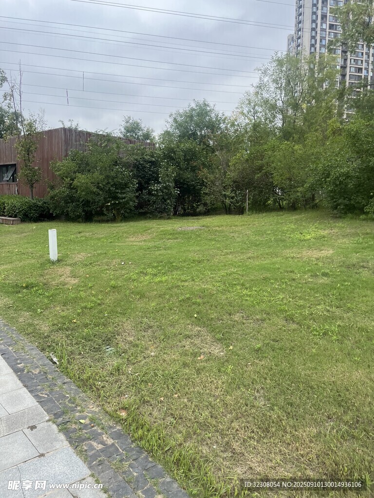 戶外開闊草地與周邊景致