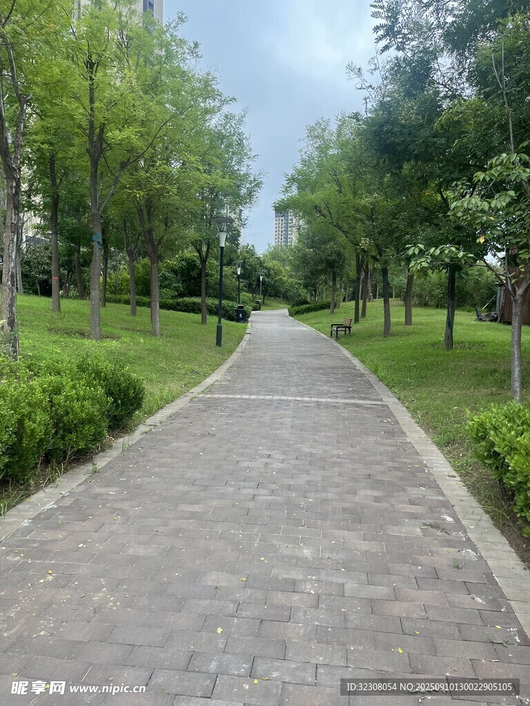 公園中的幽靜磚石小路