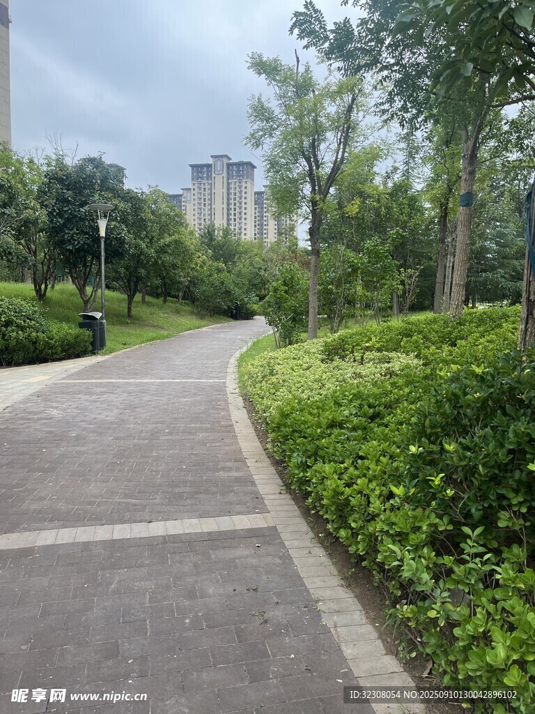 城市中的靜謐林蔭步道