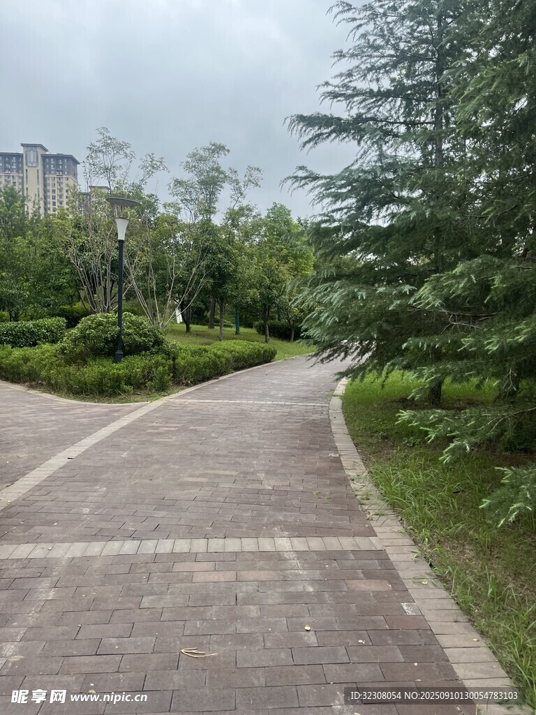 城市中的幽靜林蔭步道