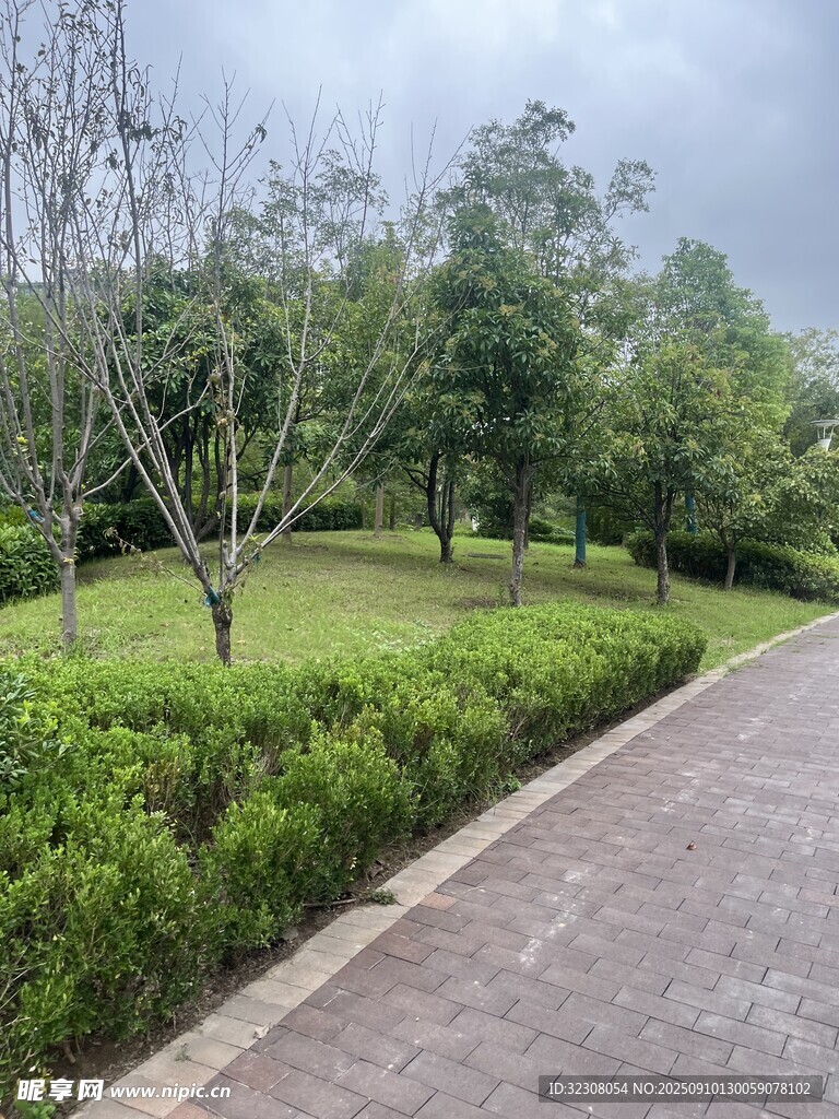 公園幽靜小徑與綠植景觀