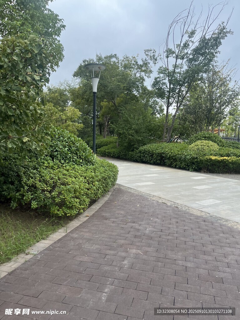 公園蜿蜒小徑與綠植景觀