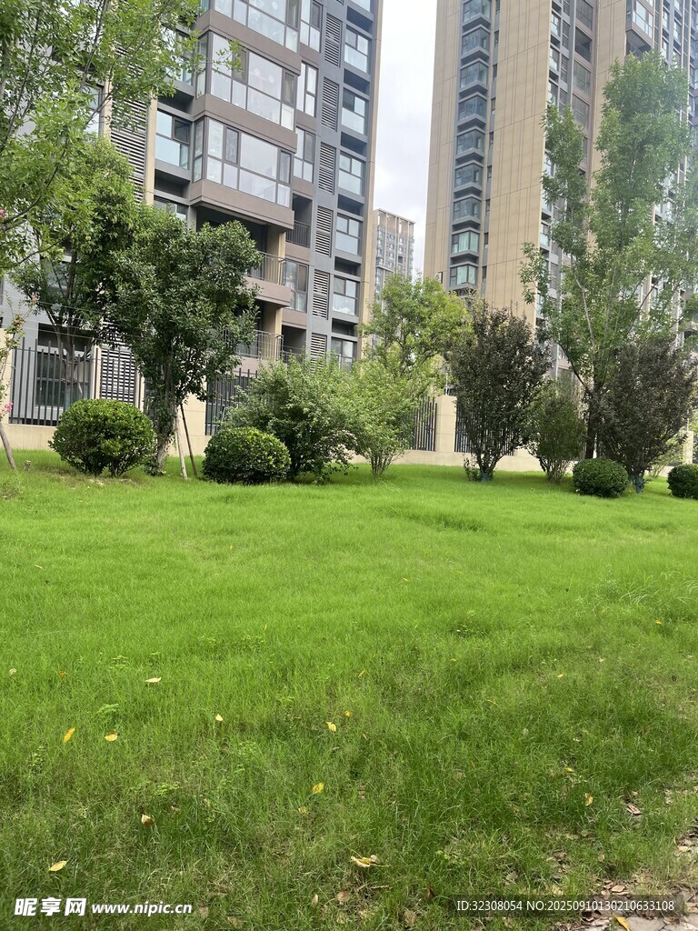 小區(qū)內(nèi)的翠綠草坪景觀