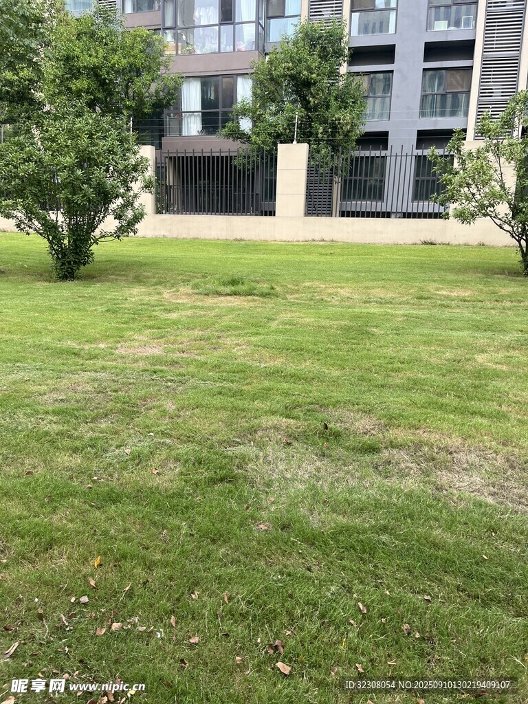 戶外草坪與綠植景觀