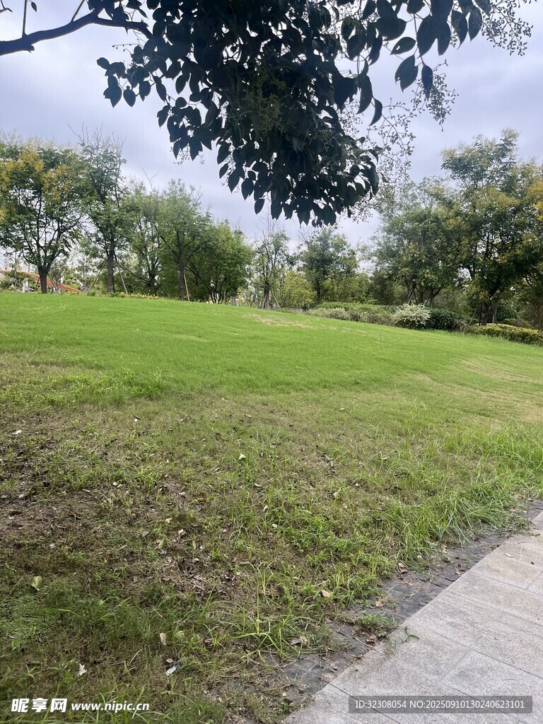 綠意盎然的公園草地小徑