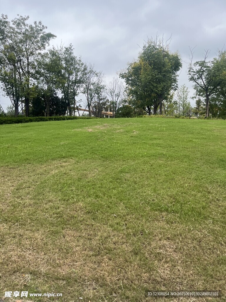 戶外開闊草地風(fēng)景