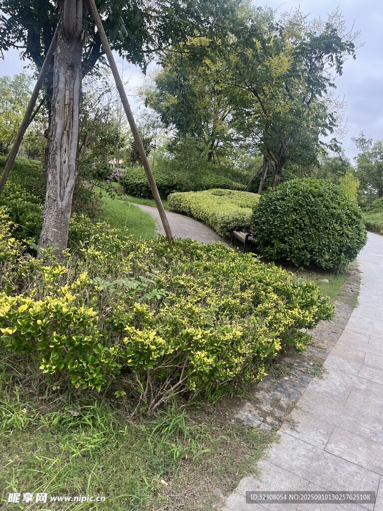 城市小徑旁的綠植景觀