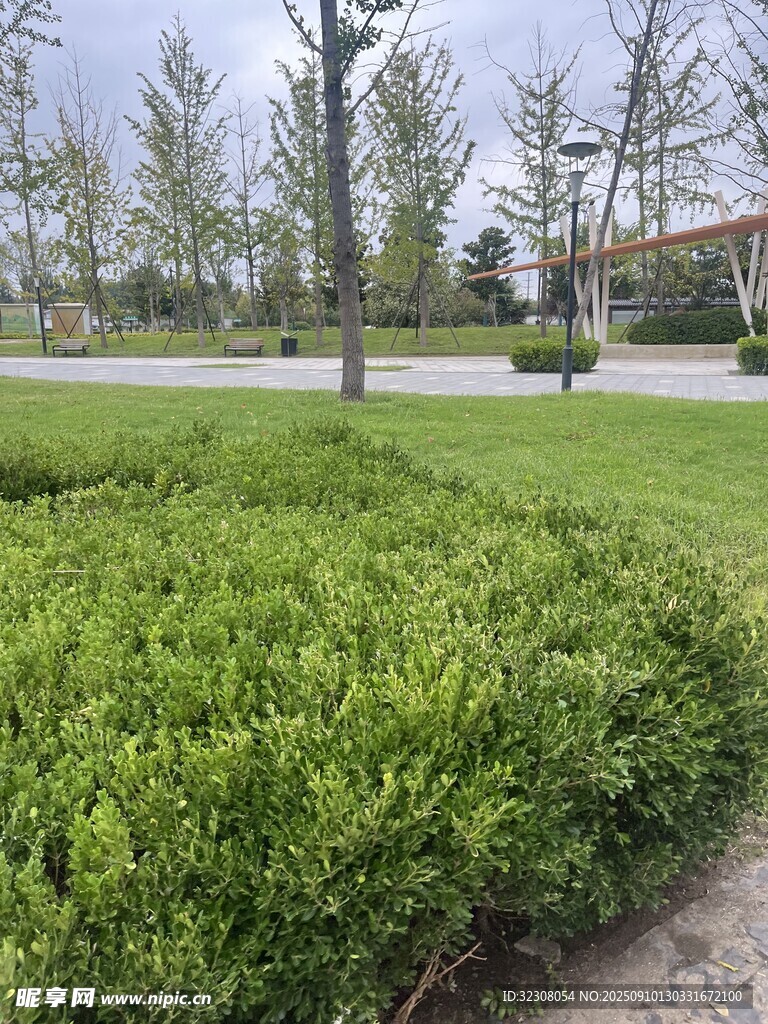 戶外綠植景觀
