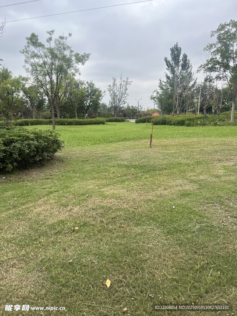 戶外開闊草坪景觀