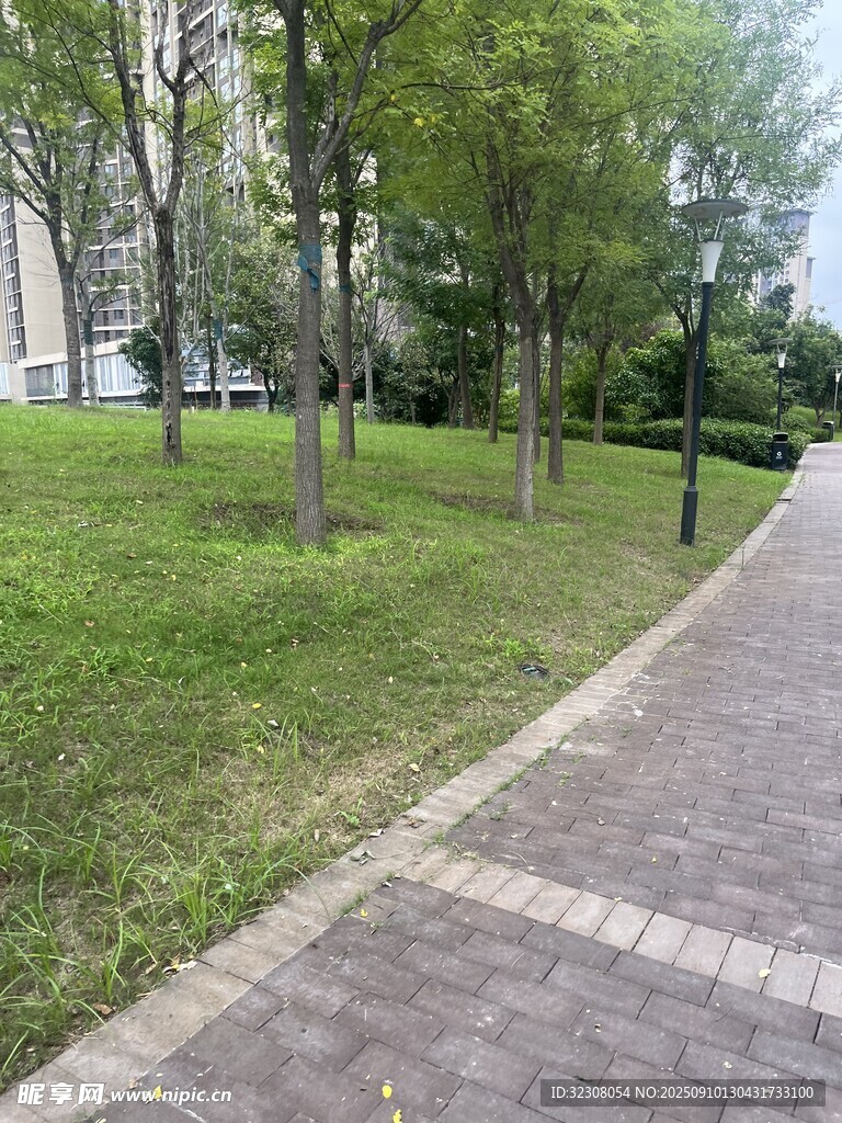 公園中的磚石小徑與綠樹