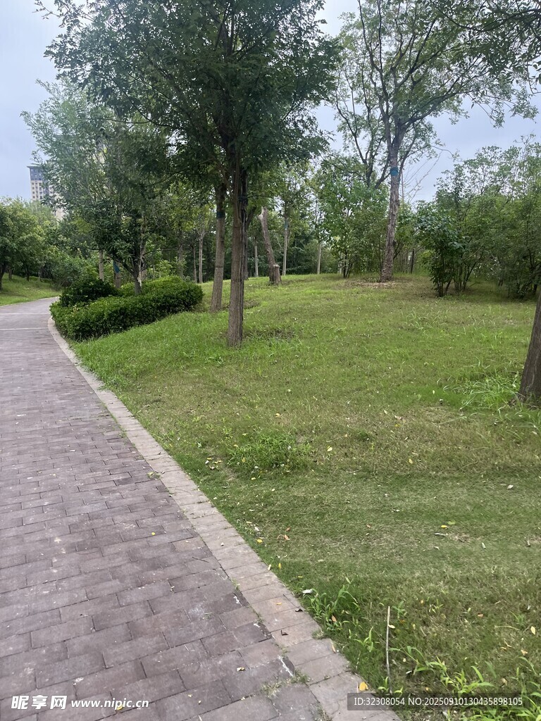 公園中的磚石小徑與綠樹