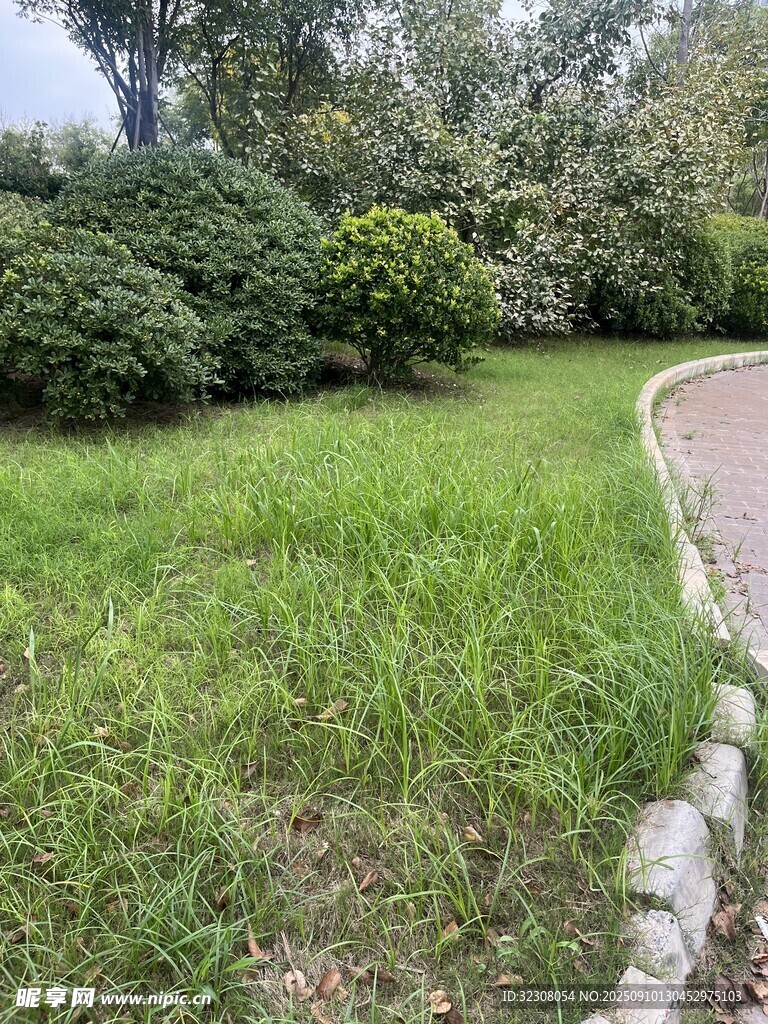 戶外綠意盎然的小徑景觀
