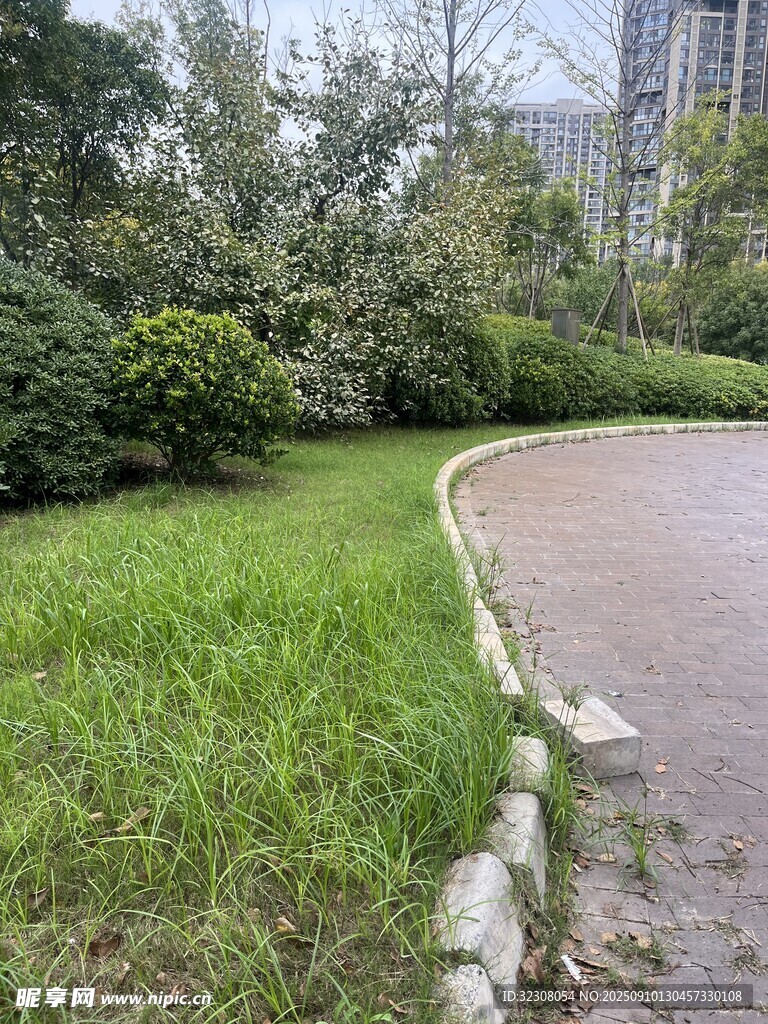 小區(qū)內(nèi)的綠意小徑