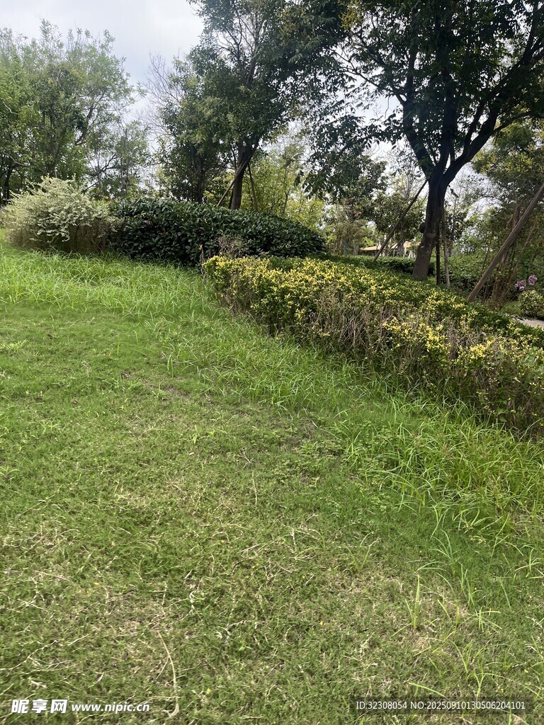 綠意盎然的戶外草地風(fēng)景