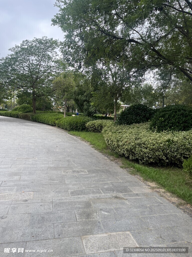 蜿蜒石板路旁綠意盎然