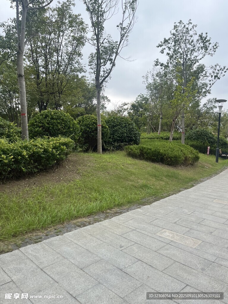 城市中的靜謐林蔭步道