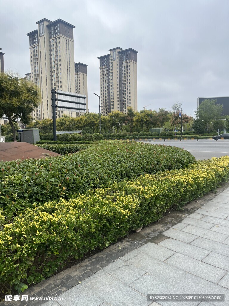 城市綠化帶旁的高樓景觀