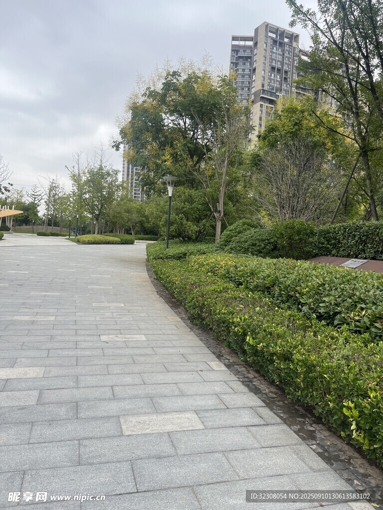 城市中的靜謐林蔭步道