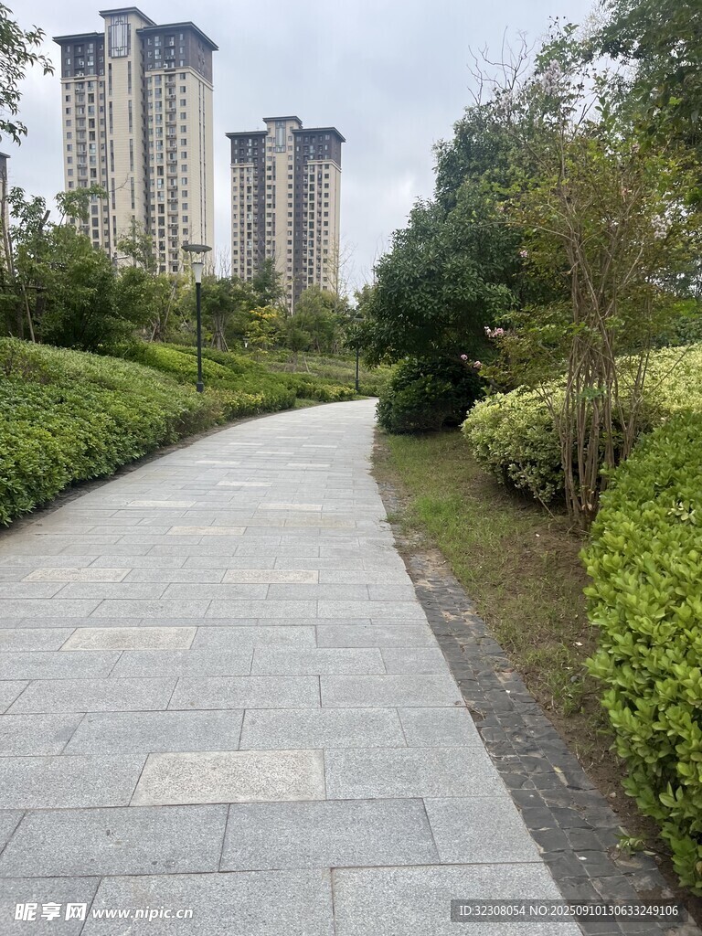 城市中的靜謐林蔭步道