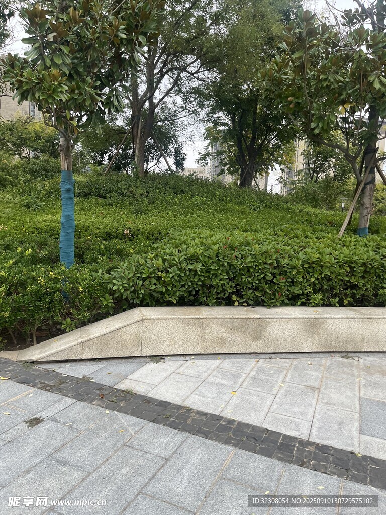城市中的綠意景觀區(qū)域