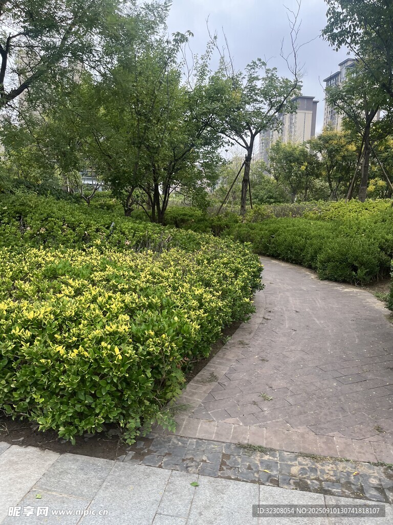 城市中的綠意小徑