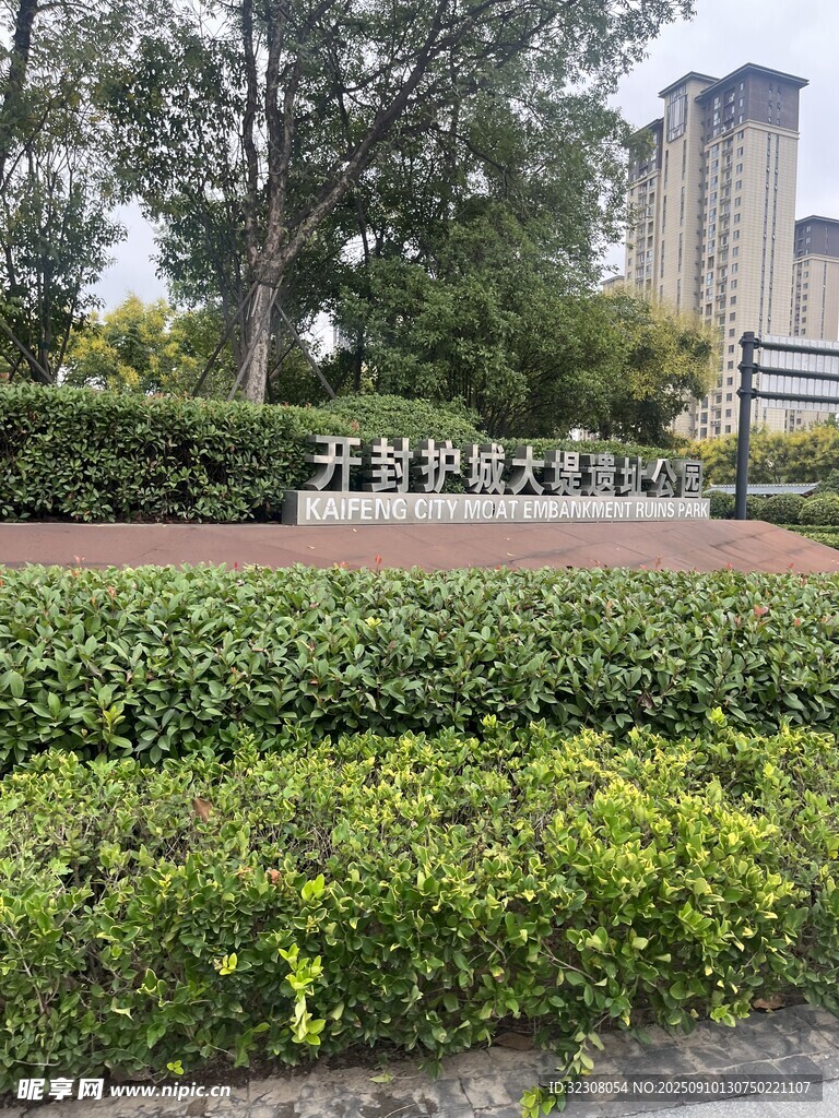 城市中整齊的綠植景觀